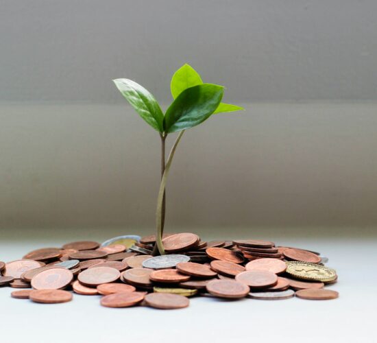 Investment