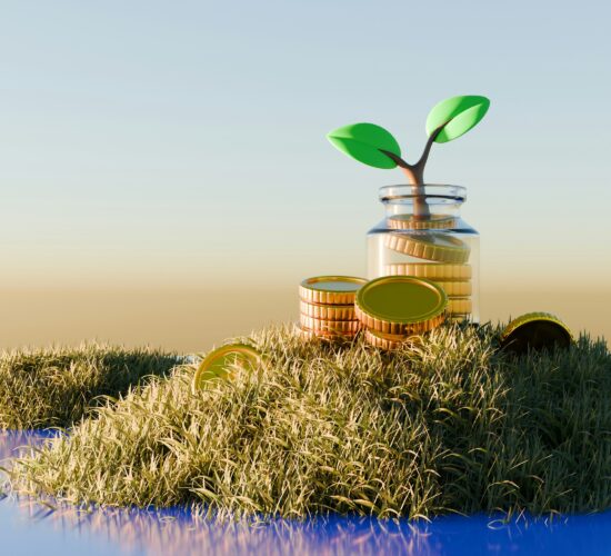 Winston Feng - Investment Manager